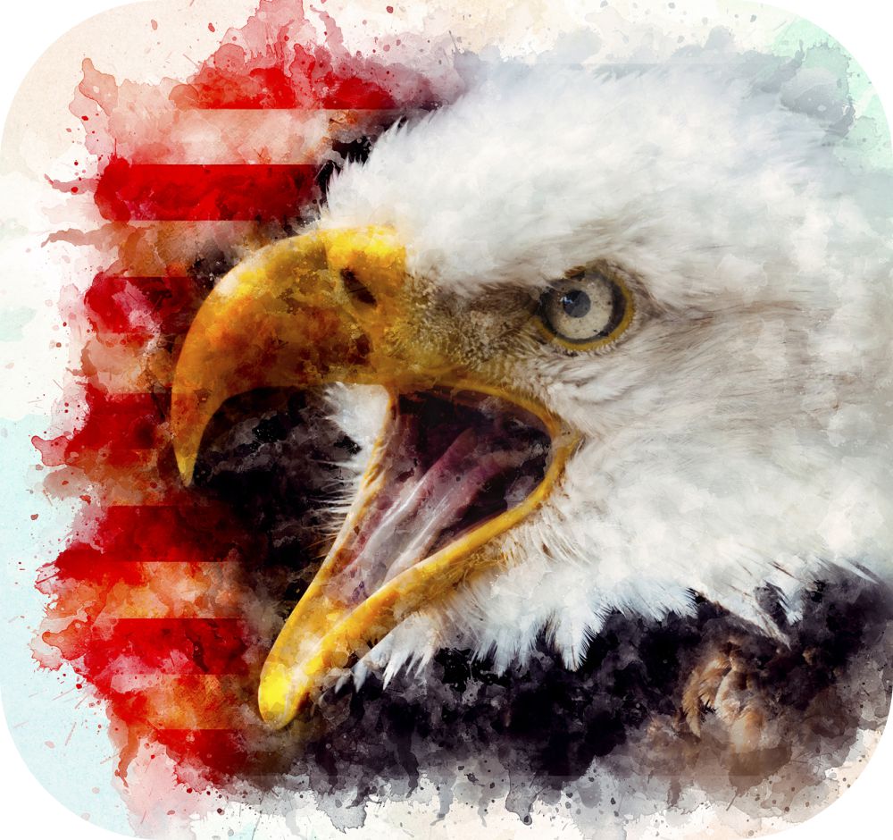 Watercolor Eagle USA